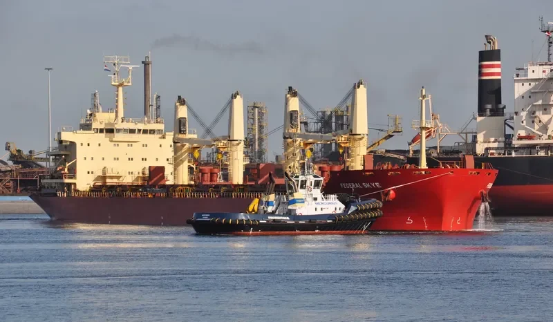 FEDERAL SKYE Bulk Carrier IMO 9606833 photo 5