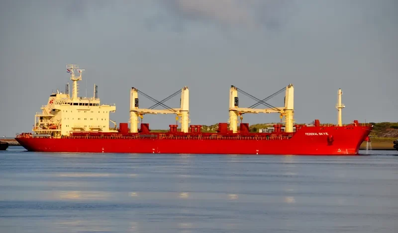 FEDERAL SKYE Bulk Carrier IMO 9606833 photo 6
