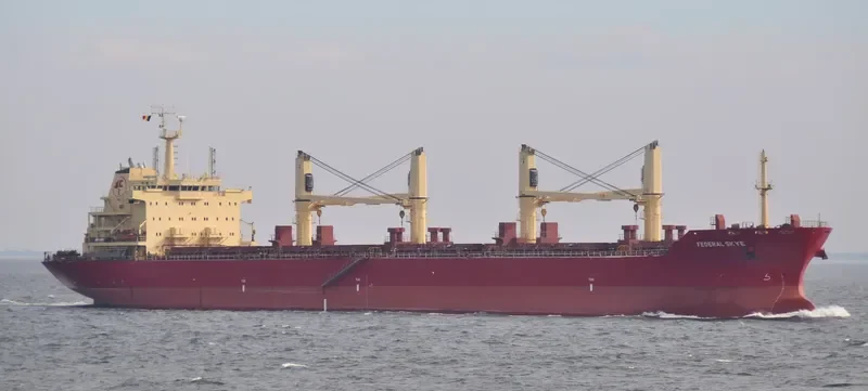 FEDERAL SKYE Bulk Carrier IMO 9606833 photo 9