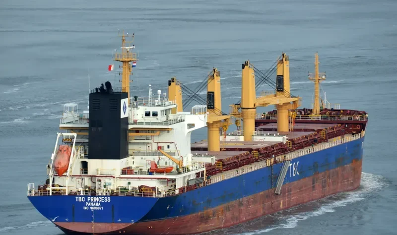 TBC PRINCESS Bulk Carrier IMO 9606871 photo 4