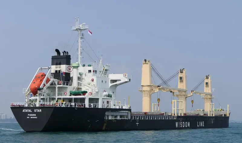 ATAYAL STAR Bulk Carrier IMO 9606962 photo 6