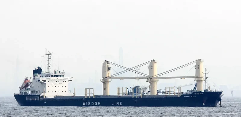 ATAYAL STAR Bulk Carrier IMO 9606962 photo 7