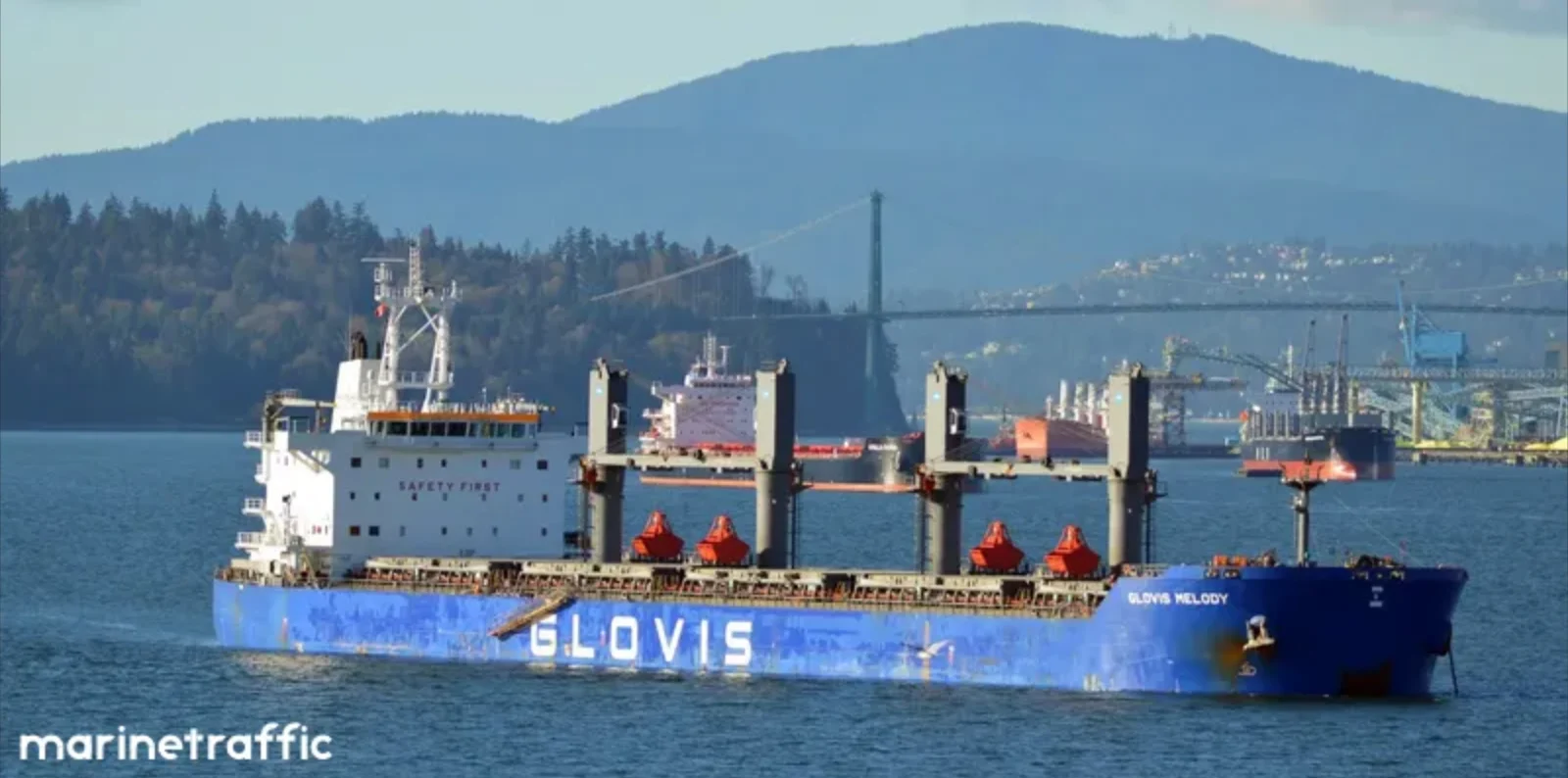 GLOVIS MELODY Bulk Carrier IMO 9607007 photo 8