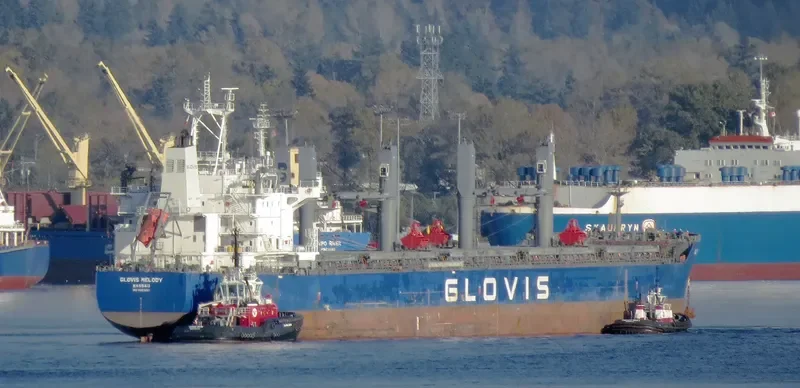 GLOVIS MELODY Bulk Carrier IMO 9607007 photo 11