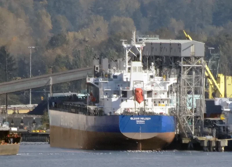 GLOVIS MELODY Bulk Carrier IMO 9607007 photo 16