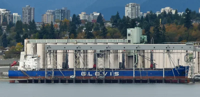 GLOVIS MELODY Bulk Carrier IMO 9607007 photo 26