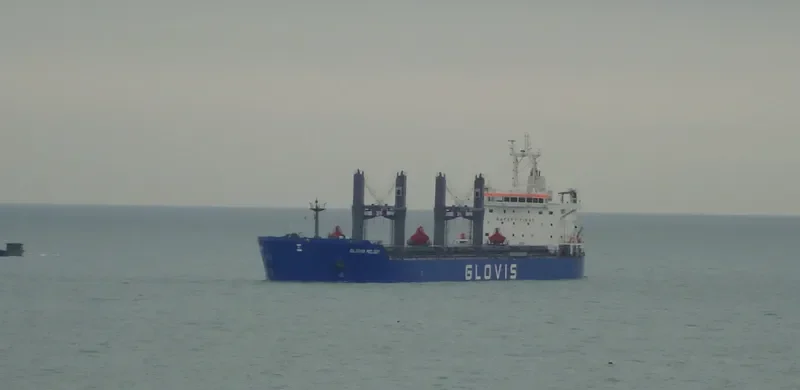 GLOVIS MELODY Bulk Carrier IMO 9607007 photo 44