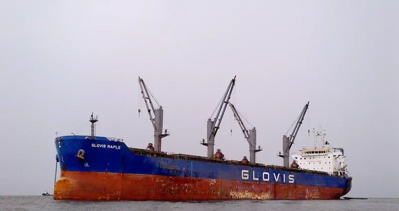GLOVIS MAPLE Bulk Carrier IMO 9607019