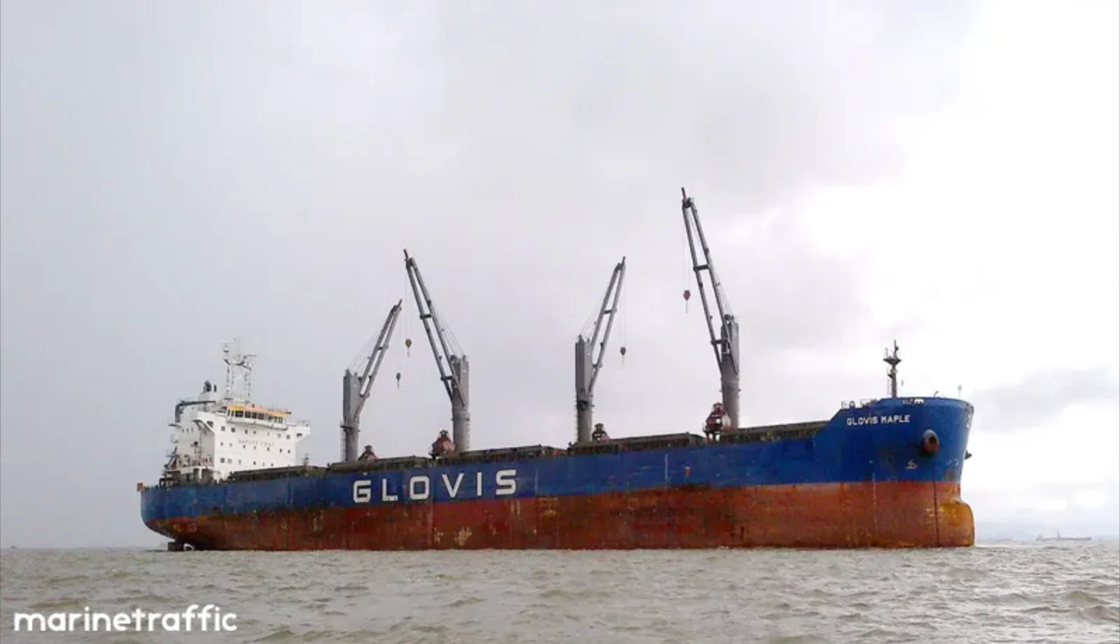 GLOVIS MAPLE Bulk Carrier IMO 9607019 photo 4