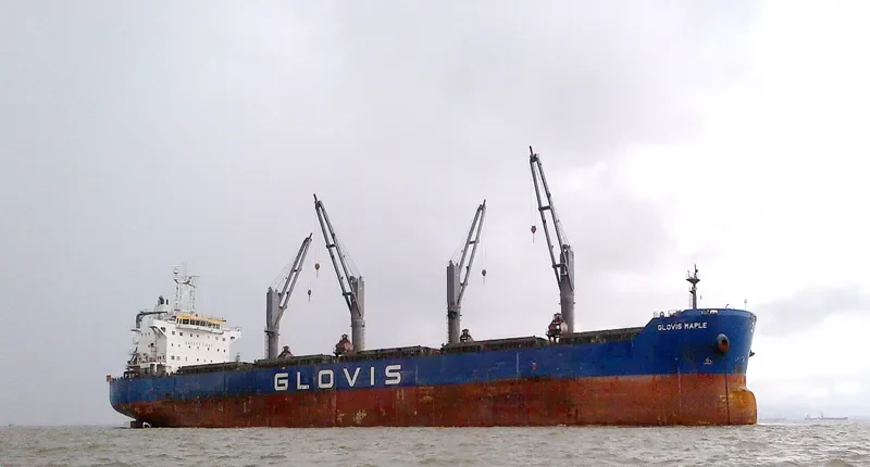 GLOVIS MAPLE Bulk Carrier IMO 9607019 photo 5