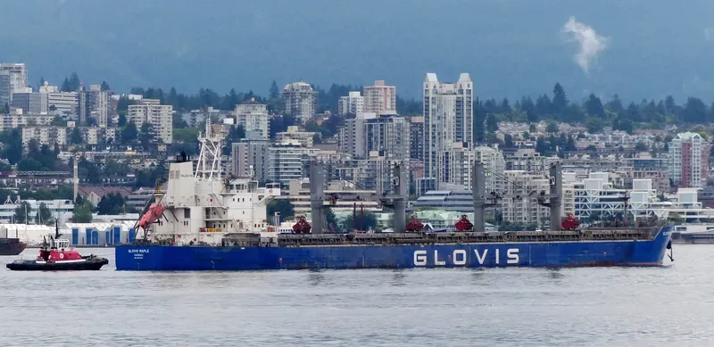 GLOVIS MAPLE Bulk Carrier IMO 9607019 photo 18