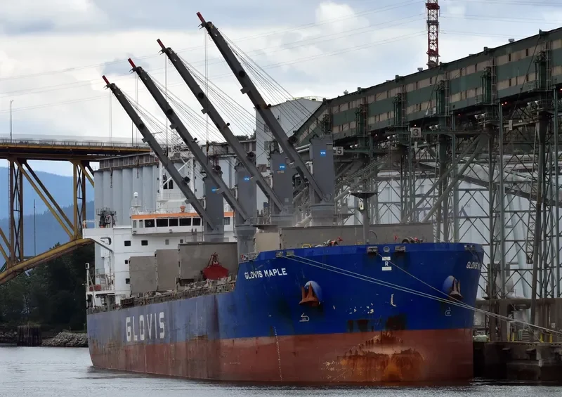 GLOVIS MAPLE Bulk Carrier IMO 9607019 photo 20