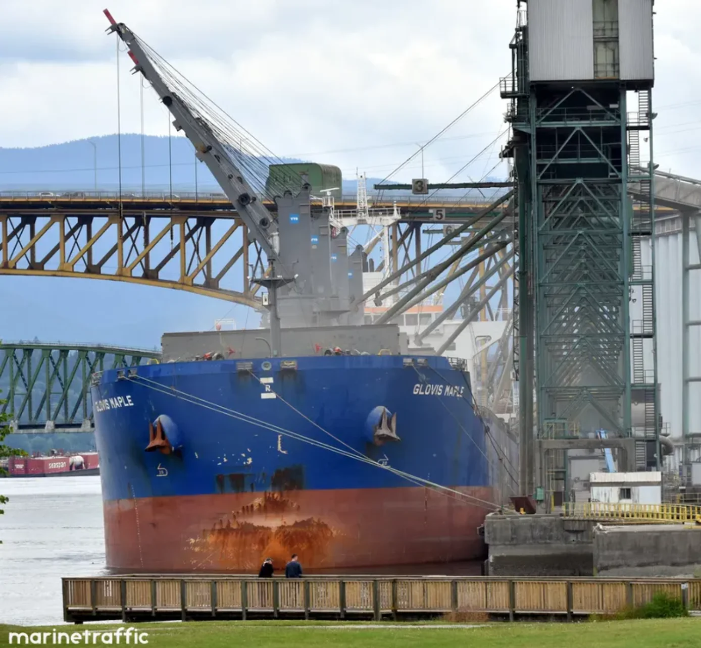 GLOVIS MAPLE Bulk Carrier IMO 9607019 photo 23