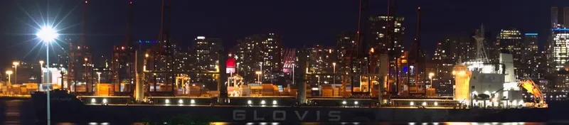 GLOVIS MAPLE Bulk Carrier IMO 9607019 photo 24