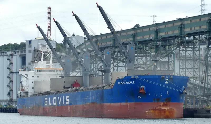 GLOVIS MAPLE Bulk Carrier IMO 9607019 photo 26