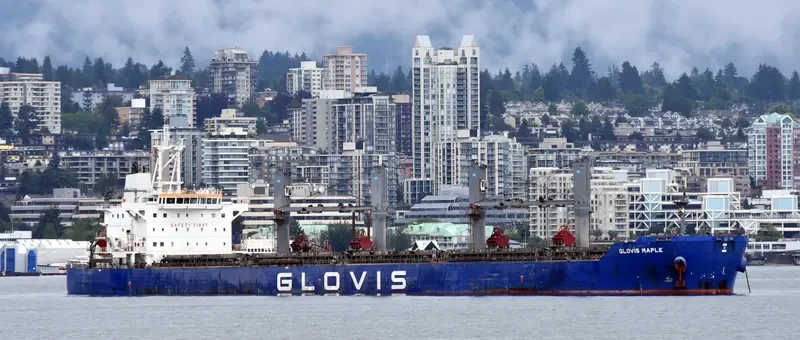 GLOVIS MAPLE Bulk Carrier IMO 9607019 photo 28