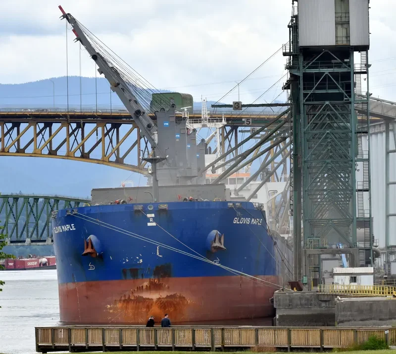 GLOVIS MAPLE Bulk Carrier IMO 9607019 photo 36