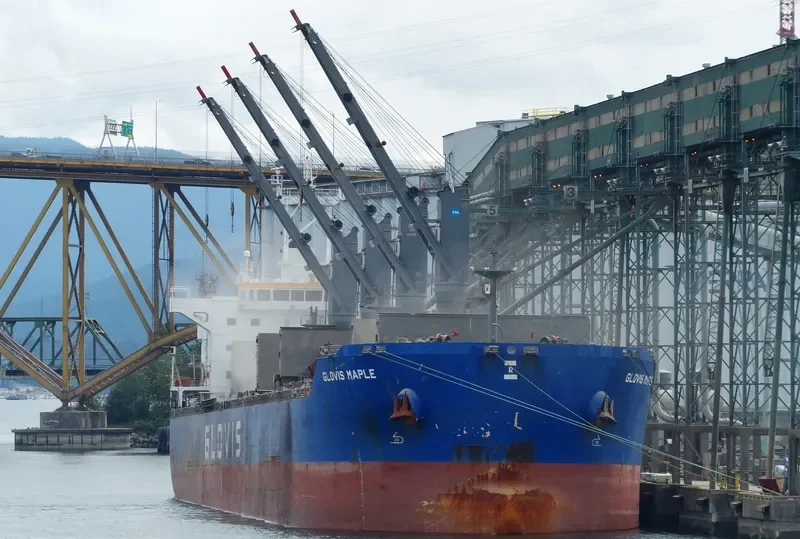 GLOVIS MAPLE Bulk Carrier IMO 9607019 photo 40