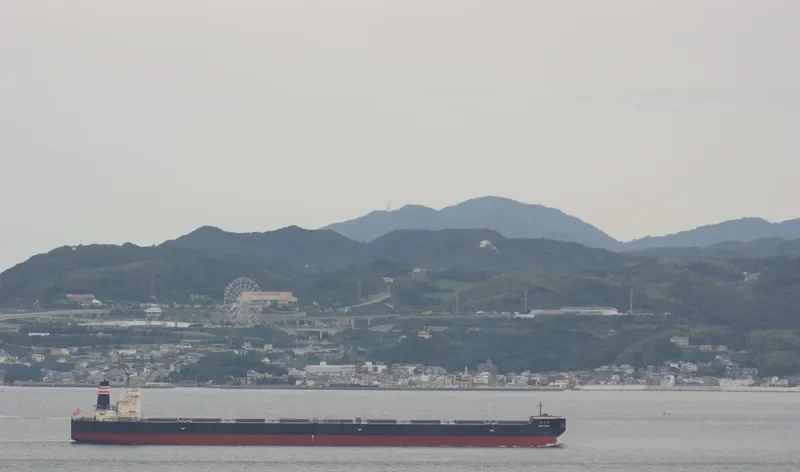 SHIN SUMA Bulk Carrier IMO 9607021 photo 3