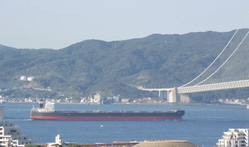 SHIN SUMA Bulk Carrier IMO 9607021 photo 5