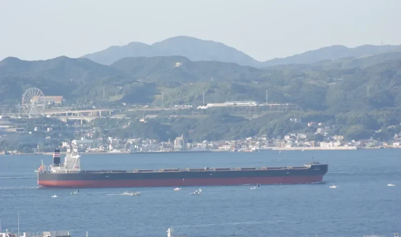 SHIN SUMA Bulk Carrier IMO 9607021 photo 6