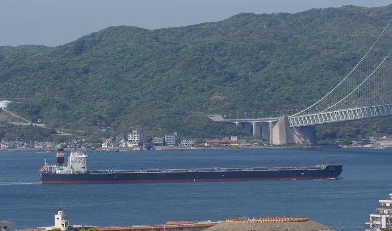 SHIN SUMA Bulk Carrier IMO 9607021 photo 7