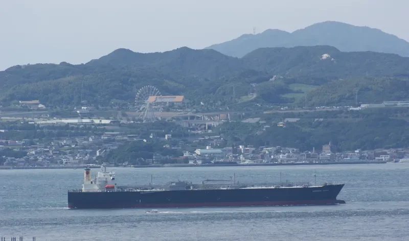 ASTOMOS EARTH General Cargo IMO 9607069 photo 3