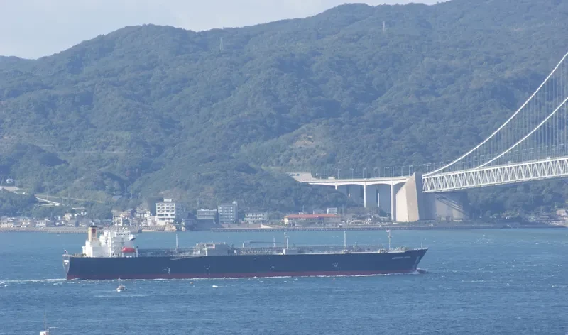 ASTOMOS EARTH General Cargo IMO 9607069 photo 8