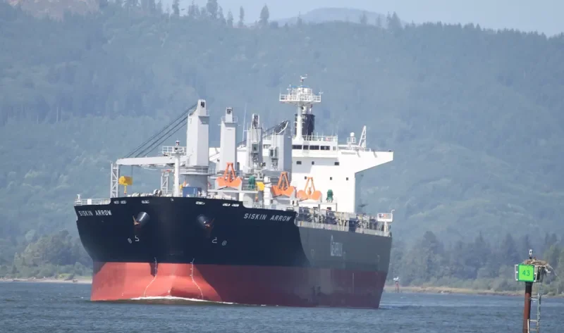 SISKIN ARROW General Cargo IMO 9607095 photo 6