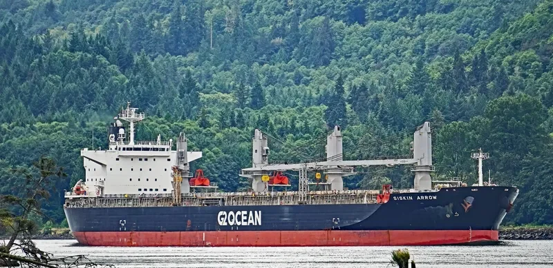 SISKIN ARROW General Cargo IMO 9607095 photo 9
