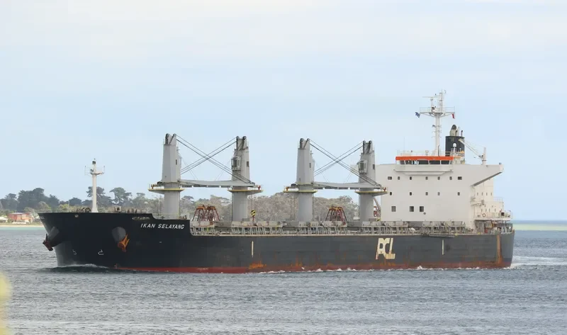 IKAN SELAYANG Bulk Carrier IMO 9607100 photo 2