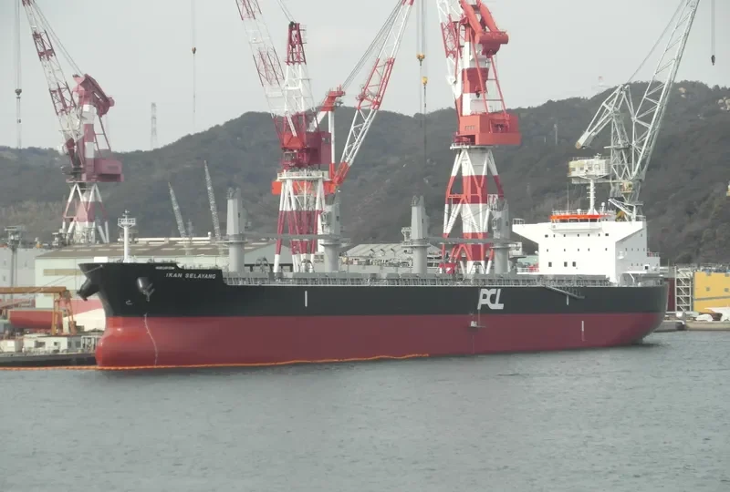 IKAN SELAYANG Bulk Carrier IMO 9607100 photo 4