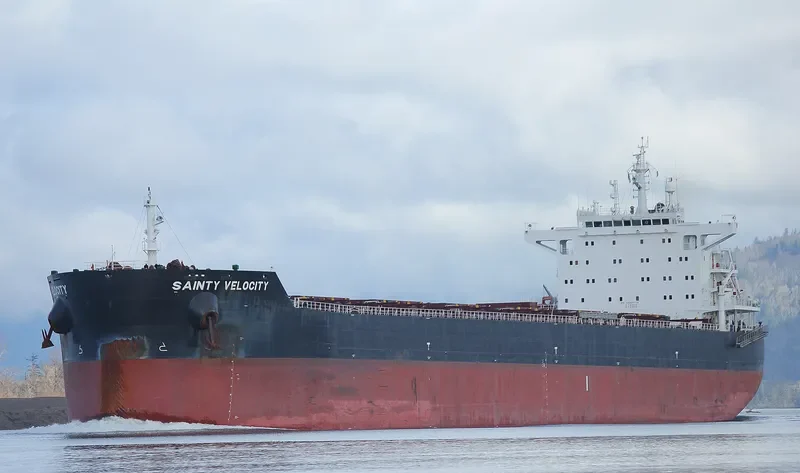 BORA Bulk Carrier IMO 9607112