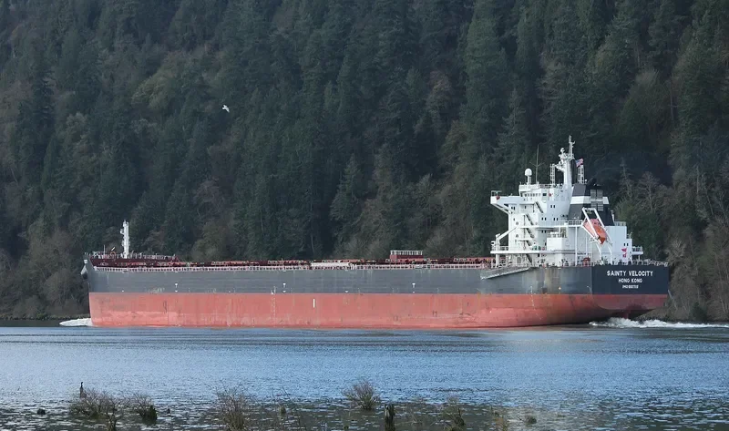 BORA Bulk Carrier IMO 9607112 photo 2