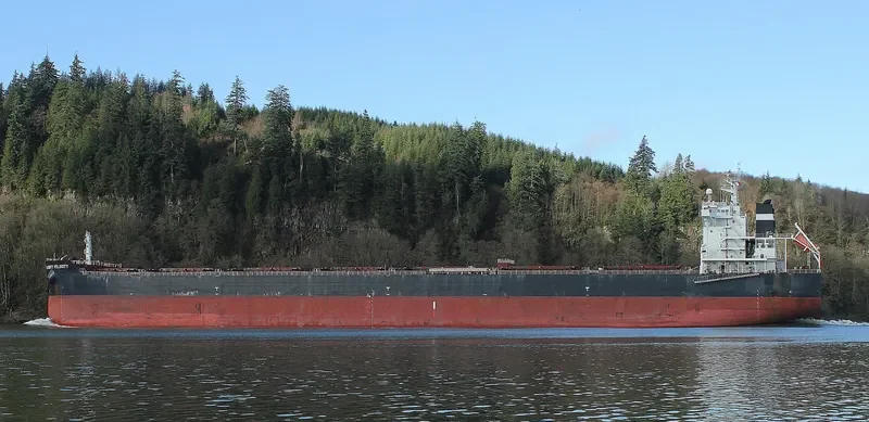 BORA Bulk Carrier IMO 9607112 photo 3