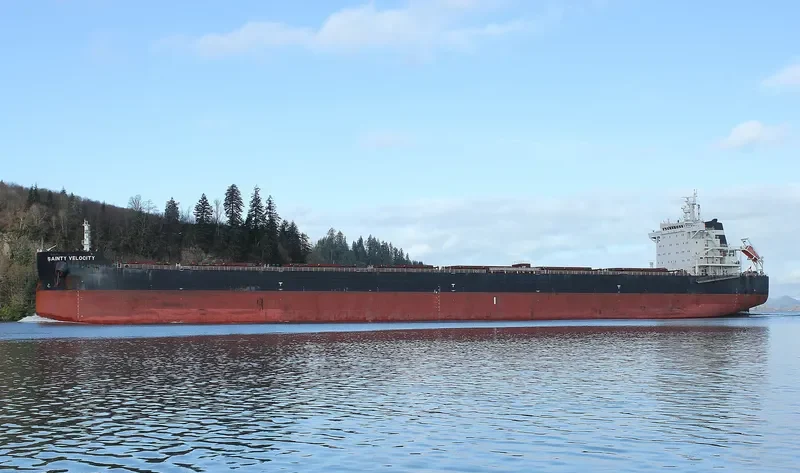 BORA Bulk Carrier IMO 9607112 photo 4