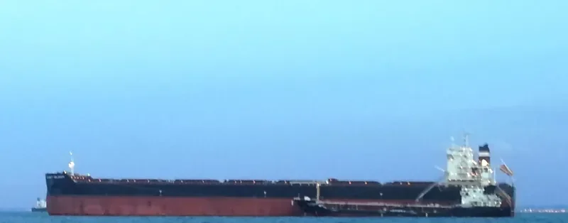 BORA Bulk Carrier IMO 9607112 photo 5