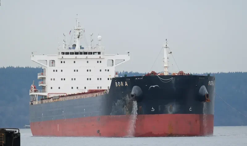 BORA Bulk Carrier IMO 9607112 photo 8