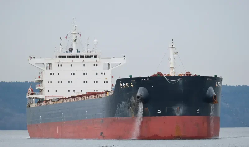 BORA Bulk Carrier IMO 9607112 photo 9