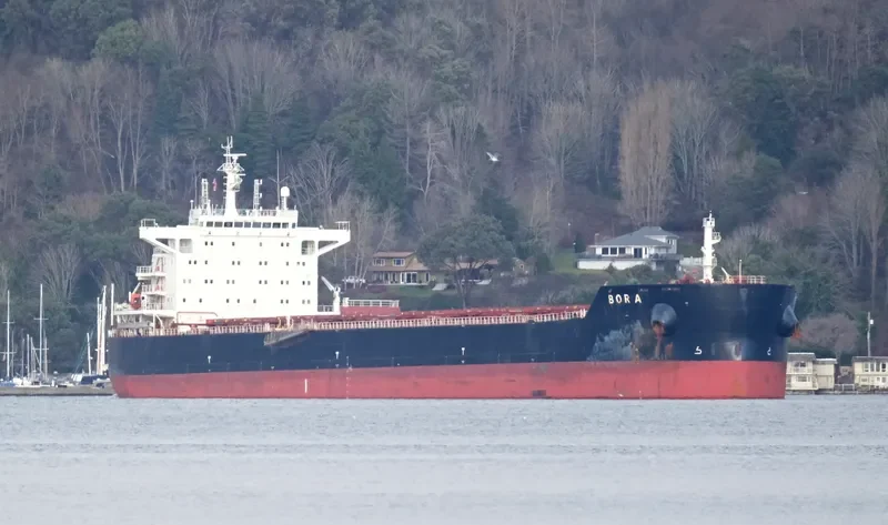 BORA Bulk Carrier IMO 9607112 photo 10