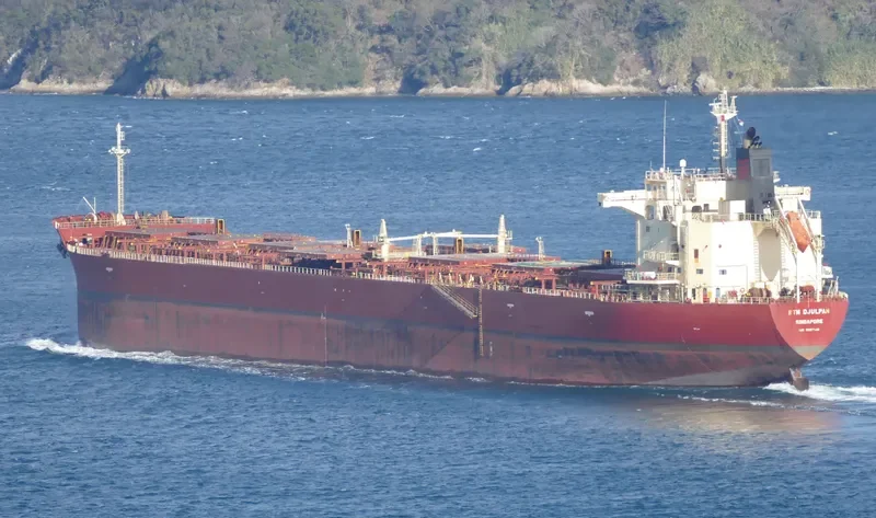 RTM DJULPAN Bulk Carrier IMO 9607148 photo 2
