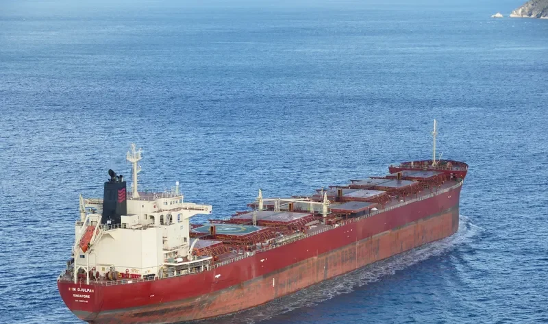 RTM DJULPAN Bulk Carrier IMO 9607148 photo 5