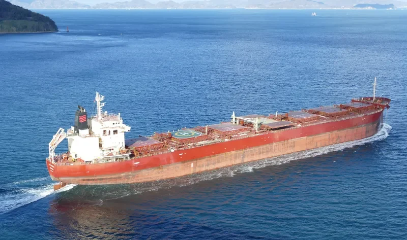 RTM DJULPAN Bulk Carrier IMO 9607148 photo 6