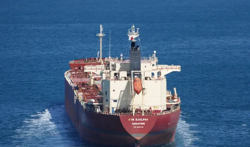RTM DJULPAN Bulk Carrier IMO 9607148 photo 7