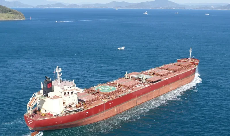 RTM DJULPAN Bulk Carrier IMO 9607148 photo 9