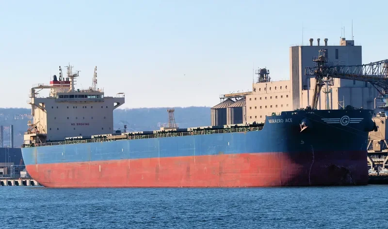 DUTA AZZAM Bulk Carrier IMO 9607150 photo 4