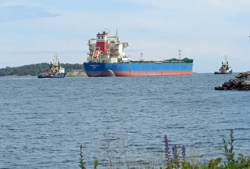 DUTA AZZAM Bulk Carrier IMO 9607150 photo 7