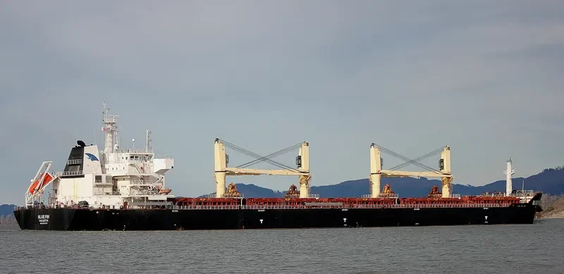 BLUE FIN Bulk Carrier IMO 9607277 photo 2