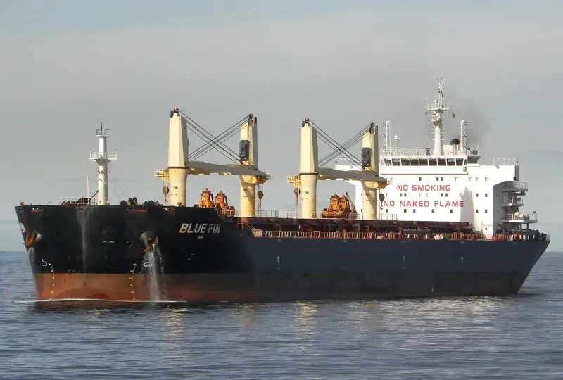 BLUE FIN Bulk Carrier IMO 9607277 photo 4