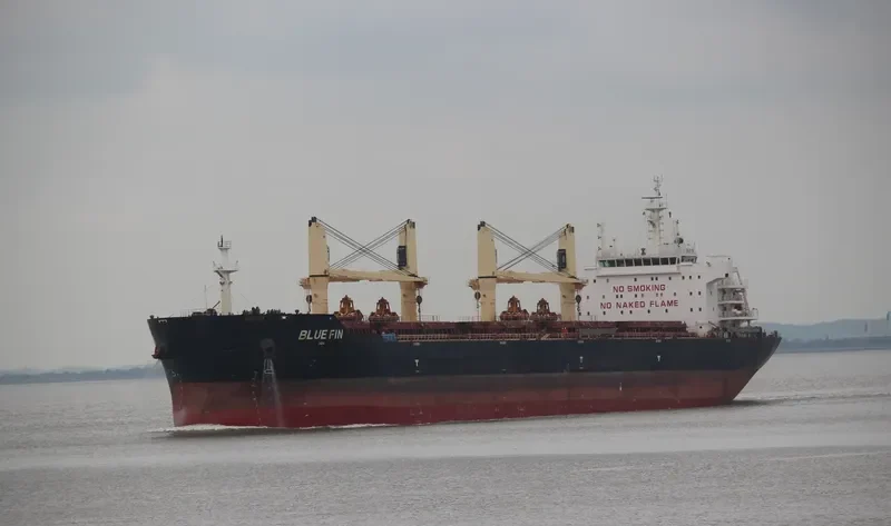BLUE FIN Bulk Carrier IMO 9607277 photo 6
